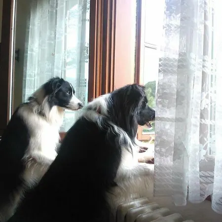 Na Polesi Апартаменты Дештне в Орлицких горах